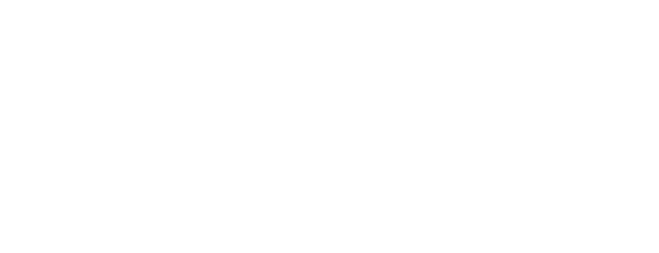 FS Automobile logo